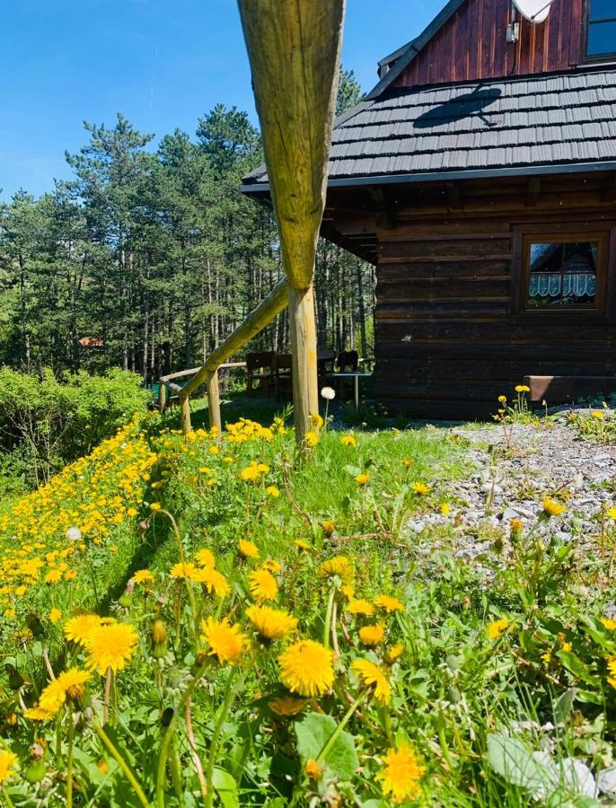 Chalet Drevenica Uhorcik Terchova